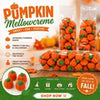 Zachary Mellocreme Pumpkin 30LBS Bulk