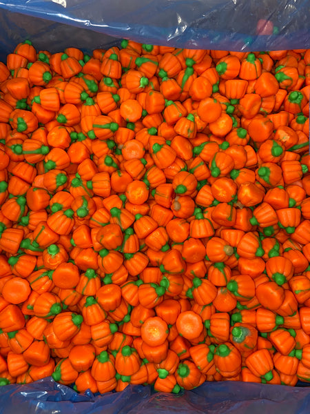 Zachary Mellocreme Pumpkin 30LBS Bulk